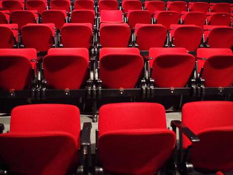 Spectacle : Le Petit Pingre