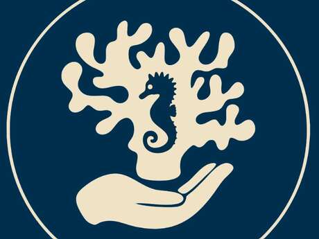 Atelier pascal à l'Aquarium Refuge