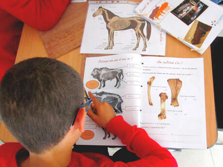 Atelier préhisto'jeune "Archéozoologue"