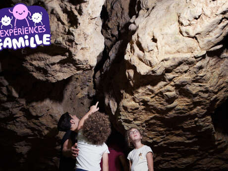 Animation préhisto' famille "Grotte et gravures"