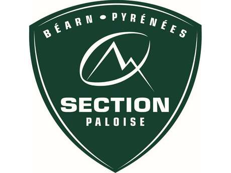 Rugby Champions Cup - Section Vs Northampton