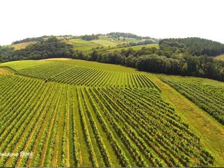 Domaine Bory