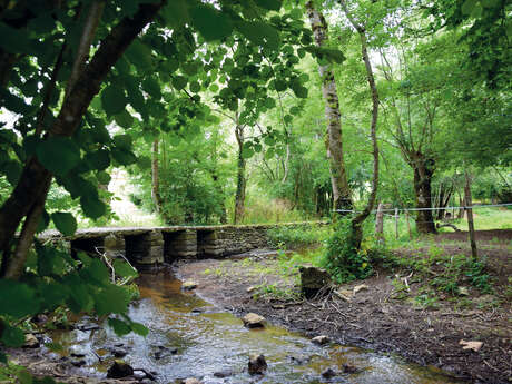 Parcours découverte : Bougouin