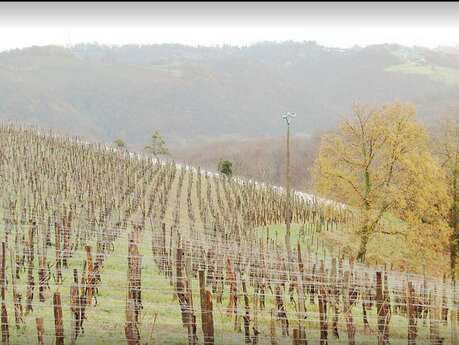 Domaine Bousquet