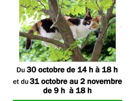 Bric à brac au profit de l'Ecole du Chat de la Creuse
