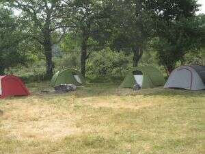 Camping à la ferme Les Sauvageons