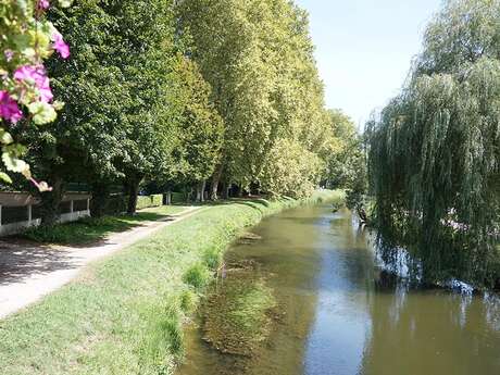 Boucle du Canal de Lalinde - Mouleydier