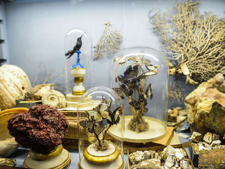 Cabinet de curiosités : des personnages de contes