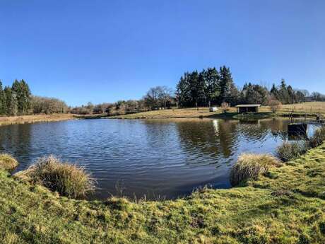 Carpodrome, Le Rochelot