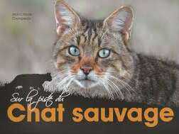 Renard roux et Chat forestier, régulateurs naturels des populations de micromammifères