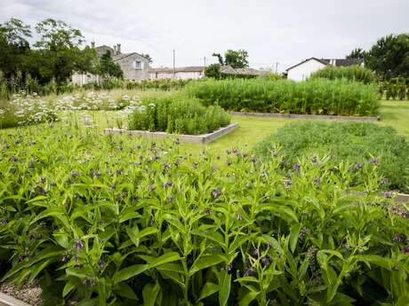 Découverte de la culture de la biodynamie | Château Monestier la Tour