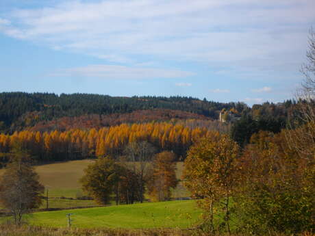 Quand le granit raconte l'histoire (variante de 4.5 km)