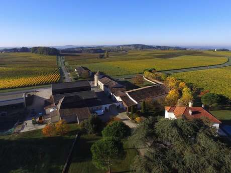 Visite guidée à 16h | Château Ladesvignes