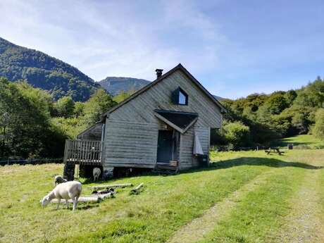 Les chalets de la forêt d'Issaux - Le Rêveur