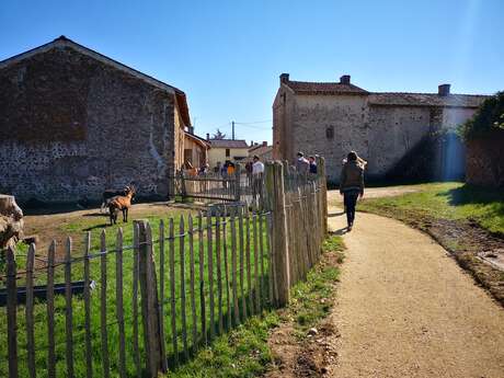 Ferme pédagogique - Lathus-Saint-Rémy
