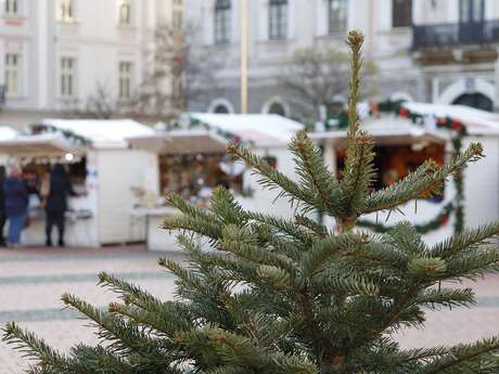Marché de Noël à Rochechouart