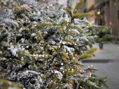 Vente de sapins de Noel