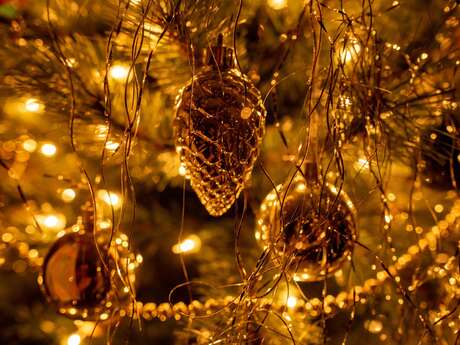 Illuminations de Noël au Chalet  des Ribières