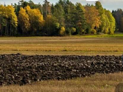 Comice agricole - Les Biards (Feytiat)