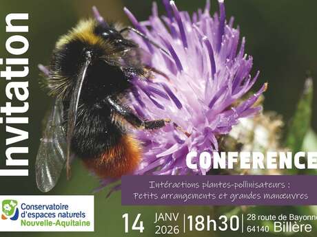 Conférence "Intéractions plantes-pollinisateurs: petits arrangements et grandes manoeuvres"