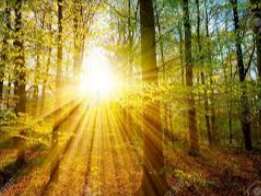 Concours photo 2026 : Impression soleil levant ou couchant