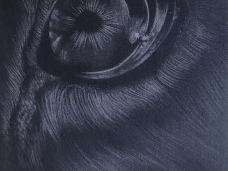 Exposition de gravures