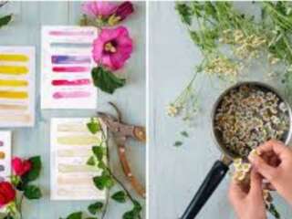 Stage d'Eté Par Graine d'Artistes : Cuisiner sa Peinture Végétale - Limoges