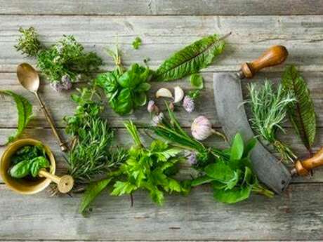 Atelier "cuisine à l'herbe"