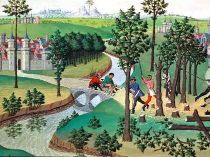 Nuits des forêts : De la silva à la forêt : histoire et représentations mentales
