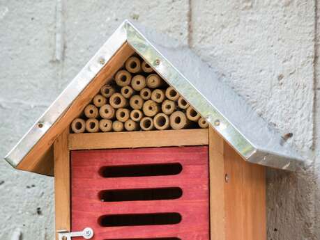 Lou Gabissou : Atelier autour de la Nature