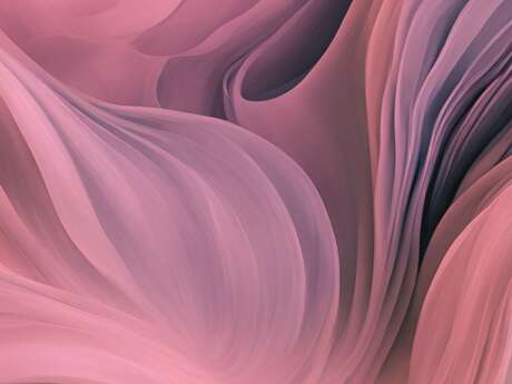 Objectif Rose - Exposition 2025 - Limoges