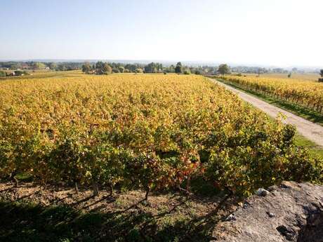 Domaine du haut Pécharmant | Dégustation gourmande
