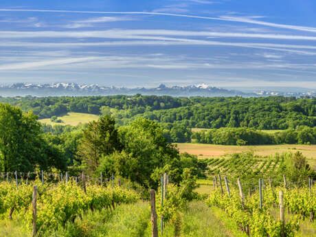 La cave des vignerons de Tursan