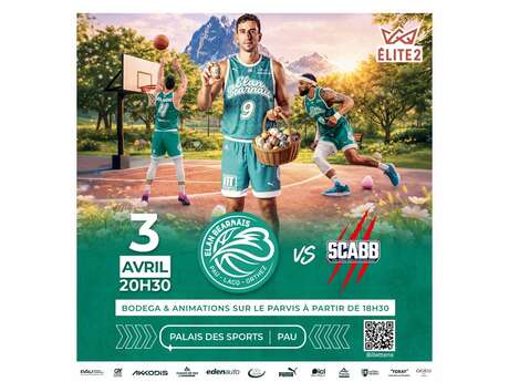 Basket ProB: Elan Béarnais Pau Lacq Orthez Vs Saint Chamond