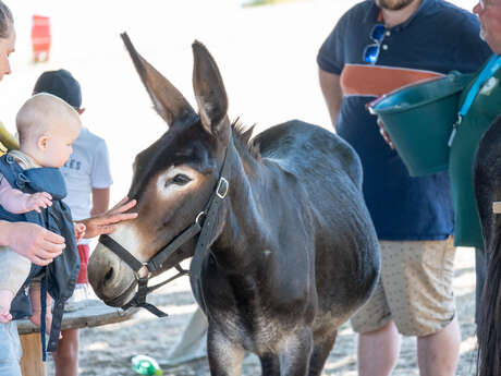 Mercredis du Lac : En famille au Lac