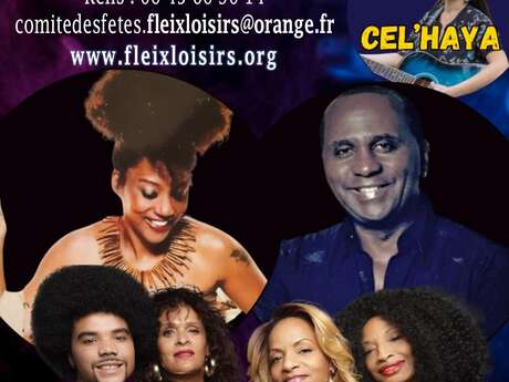 16ème Fleixtival