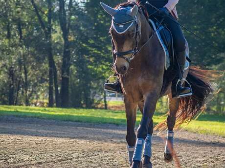 Entraînement CSO Type jour de concours