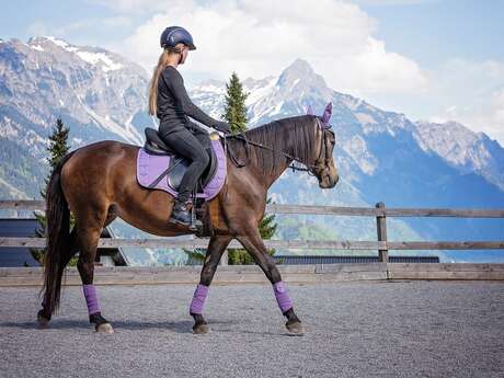 Préparation et passage Examen "Galop"