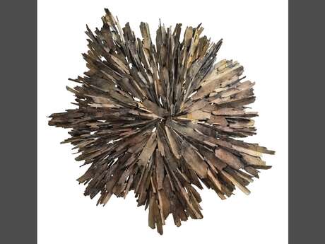 Exposition Guillaume Couffignal