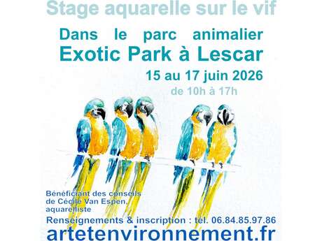 Stage aquarelle sur le vif