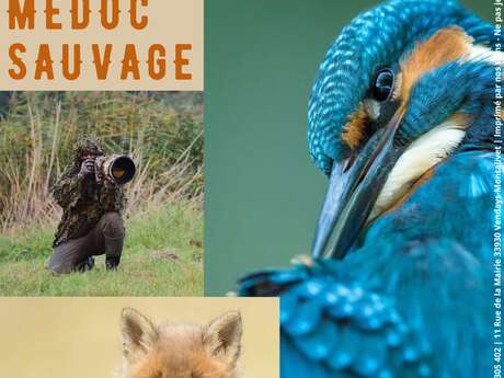 Exposition "Médoc sauvage" Exposition "Médoc sauvage"