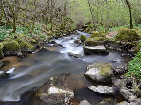 Expo documentaire : L’eau dans le bassin de la Vienne