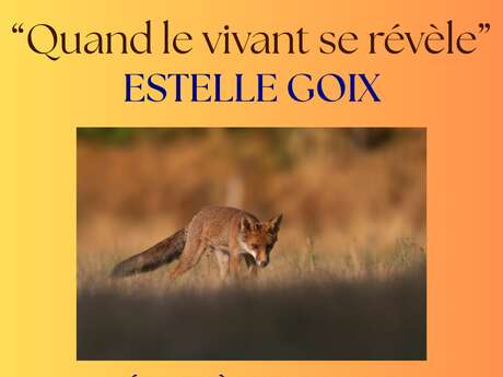 Exposition Photo "Quand le vivant se révèle" Estelle Goix