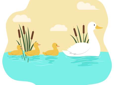 Fête de la Nature - Le monde merveilleux de la mare