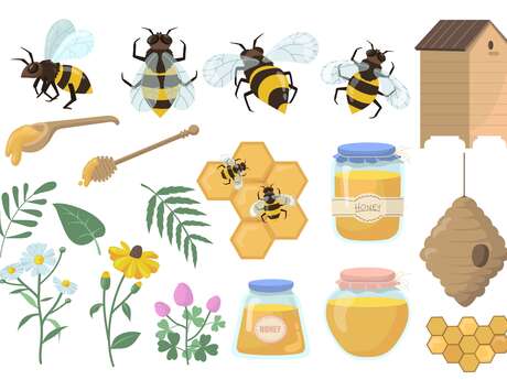 Fête de la Nature - Pourquoi sans les bébètes nous ne pourrions pas manger