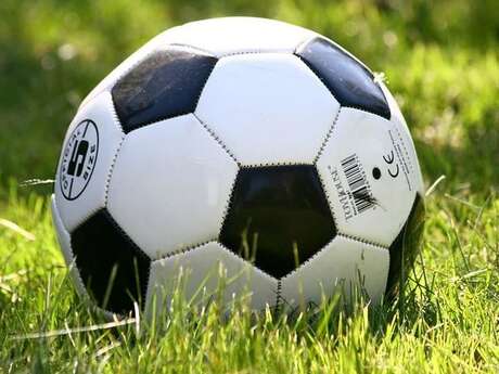 Multisports