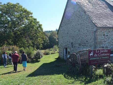 A la découverte des plantes médicinales