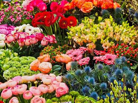 Marché aux Plantes - Victor Thuillat