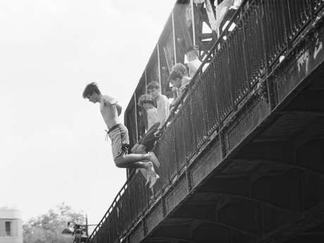 Exposition ÉCLOSIONS IMPRÉVUES