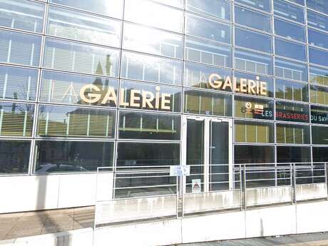 Exposition - Galerie municipale (Limoges)